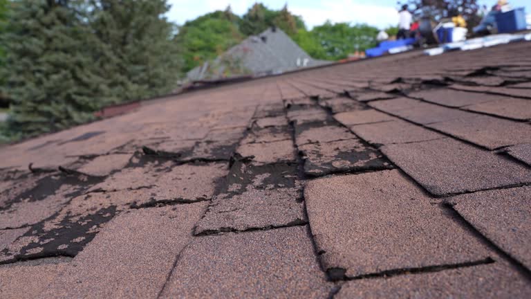 Best Roof Maintenance and Cleaning  in River Grove, IL