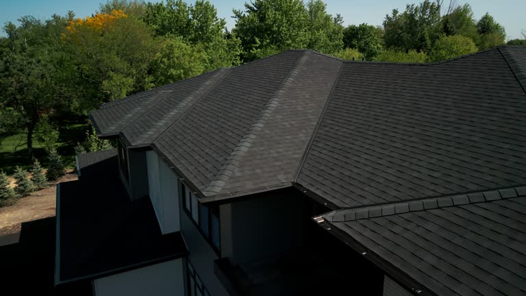 Best Hot Roofs  in River Grove, IL