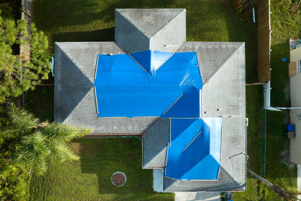 Best Green or Eco-Friendly Roofing Solutions  in River Grove, IL