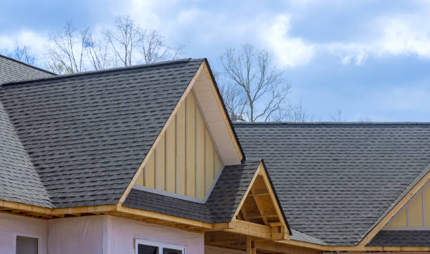 Best Solar Panel Roofing Installation  in River Grove, IL