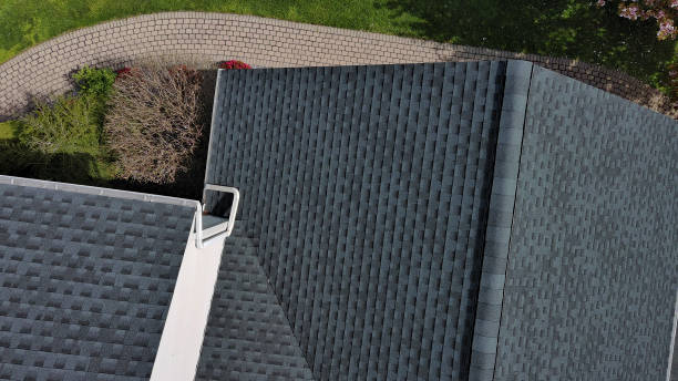 Best Asphalt Shingle Roofing  in River Grove, IL