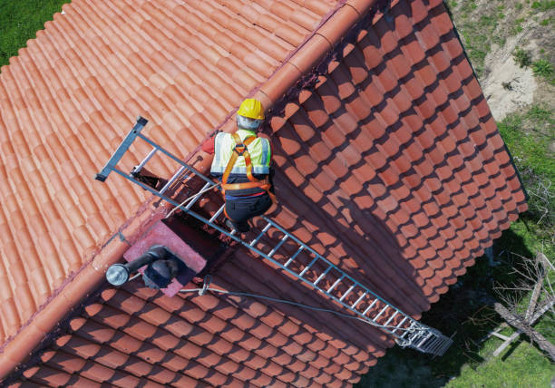 Best Roof Ventilation Installation  in River Grove, IL