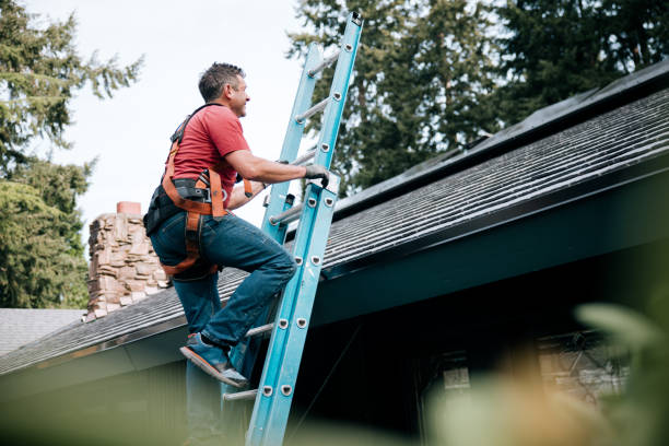 Best Asphalt Shingles Roofing  in River Grove, IL